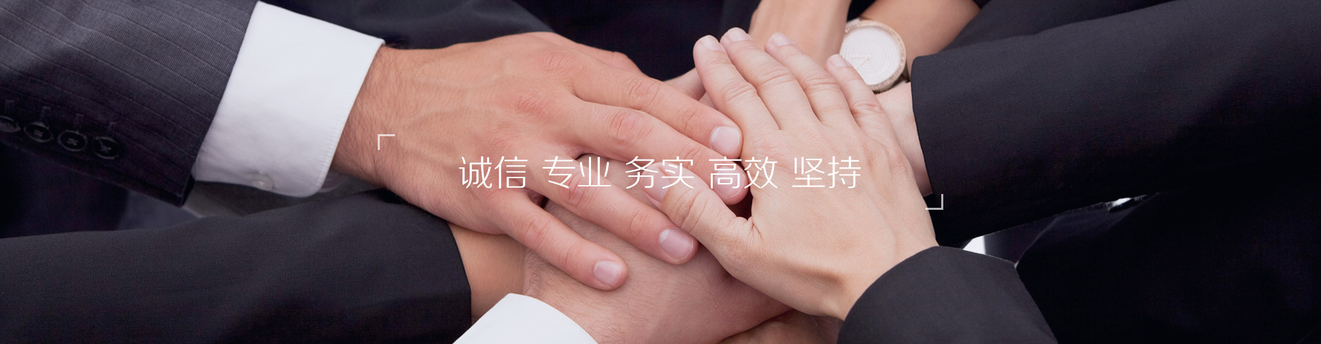 诚信 专业 务实 高效 坚持